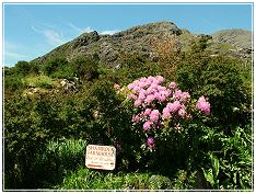 The farm entrance - Click on picture to enlarge it