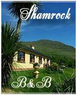 Black Valley Accommodation Gap of Dunloe Shamrock B&B Killarney